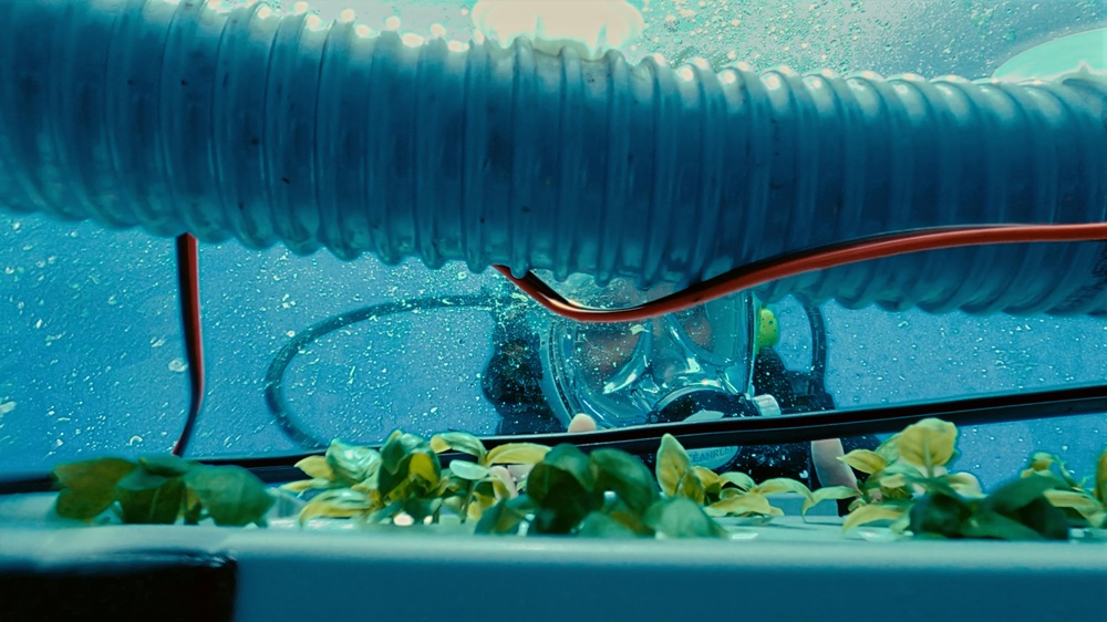 Nemo’s Garden: dal Golfo dell’Isola al mondo - MyGreenMagazine